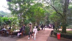 10 Hari Tutup, Kebun Binatang Bandung Rugi Rp1,5 Miliar<