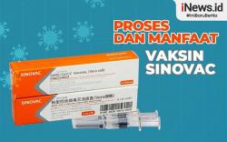 Infografis Proses dan Manfaat Vaksin Sinovac
