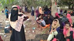 Video 81 Warga Rohingya Kembali Terdampar di Aceh Timur