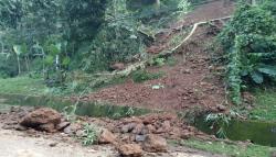 Gunung Cantayan Purwakarta Longsor, Akses Utama Cirata-Maniis Nyaris Putus<