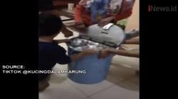 Video Keluarga Bongkar Celengan Koin Receh Mencapai Rp20 Juta