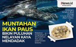 Infografis Muntahan Paus Bikin Nelayan Kaya Mendadak
