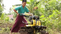 Tingkatkan Pengetahuan Petani, Bone Bolango  Buka Sekolah Lapang