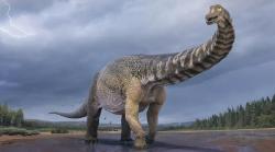 Ditemukan! Spesies Baru Dinosaurus Setinggi Gedung 2 Lantai, Sepanjang Lapangan Basket