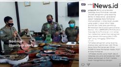 Video Viral Perusakan Ukulele, Satpol PP Kota Pontianak Sebut Sudah 2 Tahun Tak Diambil<