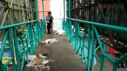 Video Puluhan Limbah Medis Berserakan di JPO Kudus