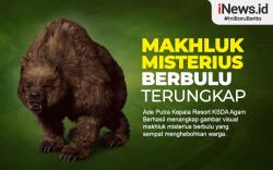 Infografis Makhluk Misterius Berbulu yang Teror Warga Agam