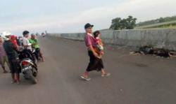 Brebes Gempar, Mayat Telanjang dan Terbakar Ditemukan di Tumpukan Jerami <