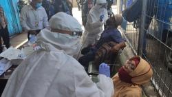 Dites Antigen, 18 Penumpang KM Labobar di Pelabuhan Jayapura Positif Covid-19