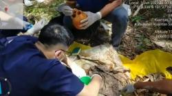 Bejat, Pasutri di Riau Siksa dan Kubur Hidup-hidup Keponakan