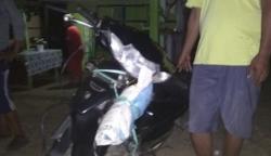 Berkendara Malam Tanpa Lampu, Pemotor Tabrak Pejalan Kaki di Jalan Trans Sulawesi