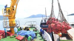 Dampak Tol Laut, Sembako di Natuna Tidak Pernah Langka
