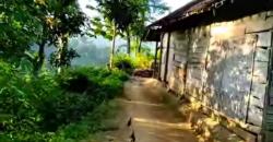 Berkunjung ke Desa Ini seperti Kembali ke Tahun 1980-an, Semua Alami dan Indah