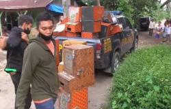 Polisi  Gerebek Kampung Narkoba di Deliserdang, Puluhan Mesin Judi Disita        <