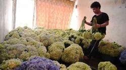 Presiden Jokowi Targetkan 30 Juta Pelaku UMKM Manfaatkan E-Commerce