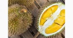 5 Durian Paling Enak di Asia yang Harus Dicicipi, Sudah Pernah Coba?