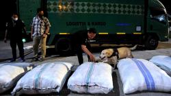 44 Kilogram Ganja Dikirim dari Medan ke Bali