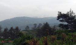 Dua Jalur Pendakian Merbabu Dibuka, Pendaki Wajib Bawa Hasil Tes Antigen atau GeNose