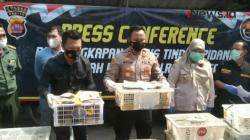Polisi Gagalkan Penyelundupan Ribuan Ekor Burung Berkicau 