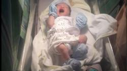 Seorang Desainer Namai Bayi Laki-Lakinya HTML