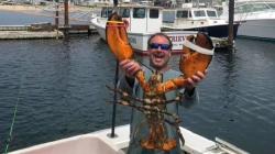 Ngeri, Laki-Laki Ini Mengaku Ditelan Paus lalu Dimuntahkan 