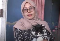 Viral Kucing Pintar di Polewali Mandar Suka Naik Motor Keliling Kota