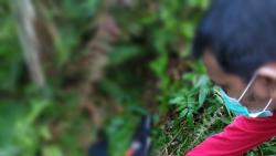 Diantar Mengaji, Bocah SD Ditemukan Tewas Penuh Luka Bacok di Bengkalis 