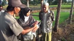 Bayi Laki-Laki di Gubuk Sawah Gegerkan Warga Banyuwangi