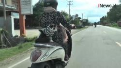 Video Viral, Kucing Gemar Boncengan Naik Motor