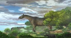 Badak Raksasa Pernah Hidup di China, Beratnya Mencapai 20 Ton