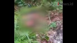 Video Jasad Bocah 13 Tahun Ditemukan di  Semak Belukar