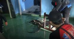 Video Biawak Masuk ke Kamar Warga di Kalimantan Tengah