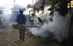 Dua Keluarga Terserang Demam Berdarah, Fogging di Sobo Banyuwangi Digencarkan