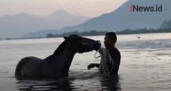 Video Inilah Pacuan Kuda Bima yang Mendunia