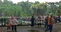 Video Pengelola Taman Margasatwa Ragunan Batasi Jam Operasional dan Pengunjung