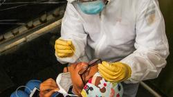 Tes Acak di KRL Dilanjutkan demi Mencegah Penularan Covid-19