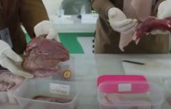 Video Korban Penipuan Daging Babi di Jambi Diperiksa sebagai Saksi