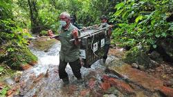 BKSDA Lepas Siamang dan Tapir ke Taman Nasional Kerinci Seblat