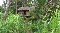 Ribuan Warga Nias Utara Tinggal di Rumah Tak Layak Huni, Butuh Perhatian Pemerintah