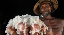 Dampak Pandemi, Harga Garam Petani Tradisional Turun