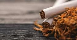 Lagi Tren Harm Reduction, Ternyata Bisa Kurangi Risiko Penyakit akibat Rokok