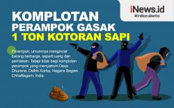 Infografis Komplotan Perampok Gasak 1 Ton Kotoran Sapi
