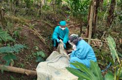 Tragis, Jalani Isolasi Mandiri Kakek di Kulonprogo Tewas Jatuh dari Pohon