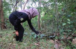 BKSDA Jogja Lepas 6 Ekor Ular Sanca Kembang di Kawasan Suaka Margasatwa Sermo