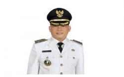 Bupati Muratara Devi Suhartoni Positif Covid-19, Begini Kondisinya<