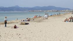  Viral, 2 Pengunjung Pantai Asyik Berjemur Telanjang Dikejar Rusa hingga Tersesat di Hutan