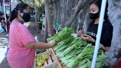 Sayuran Gratis Dibagikan untuk Peserta Vaksinasi