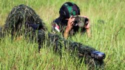 Sniper Marinir Lumpuhkan Musuh dari Jarak 500 Meter dengan Senjata AWM