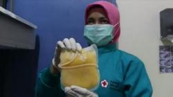 Permintaan Plasma Konvalesen Naik, PMI Solo Dorong Penyintas Covid-19 Jadi Pendonor <