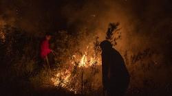 Petugas Gabungan Berjibaku Padamkan Kebakaran Lahan di Ogan Ilir<